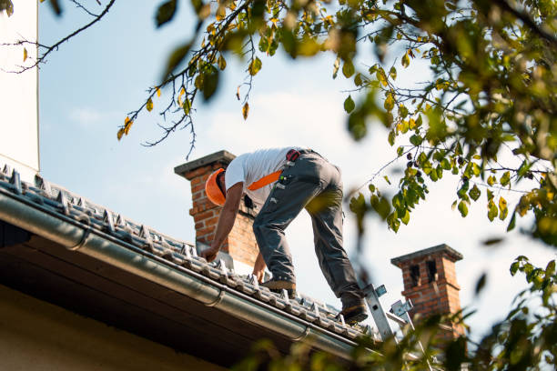 Best Shingle Roofing Installation  in Petersburg, VA