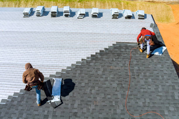 Best Roof Gutter Cleaning  in Petersburg, VA