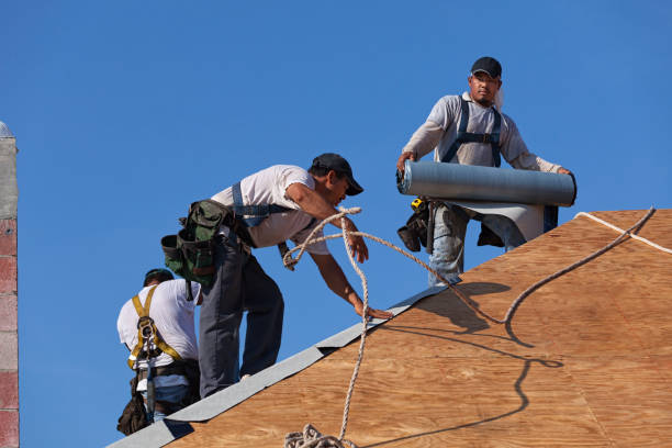 Best Commercial Roofing Services  in Petersburg, VA