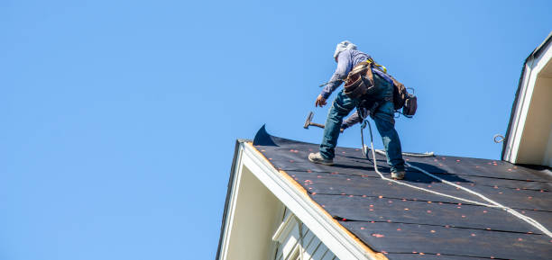 Best Roof Restoration Services  in Petersburg, VA